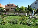 Třibřichy